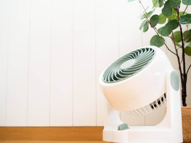 Air Purifier and Fan