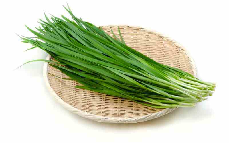 Where to Buy Garlic Chives